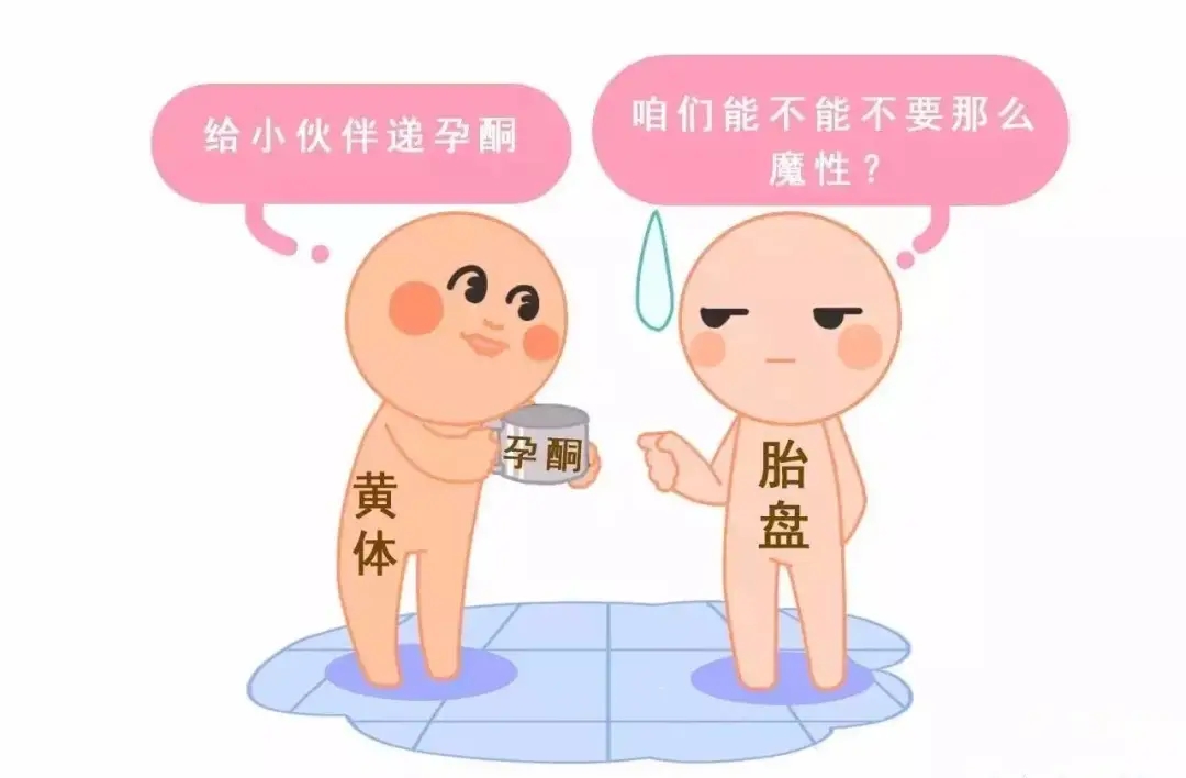 HCG和孕酮低一定會流產？備孕女性必須知道的孕早期“秘密”