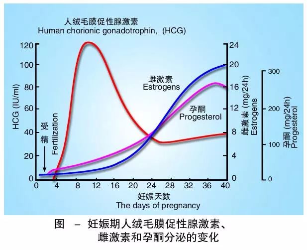 懷孕期間HCG低怎么辦？