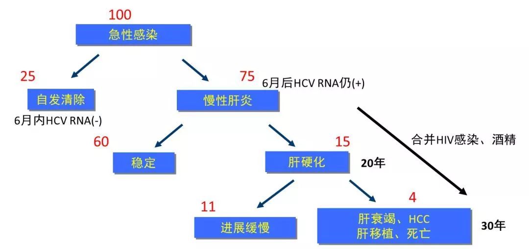 丙肝檢測(cè)的弱陽(yáng)性究竟是不是感染了丙肝？